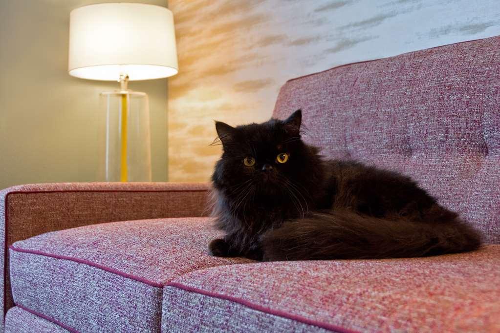 Home2 Suites By Hilton Boston South Bay Δωμάτιο φωτογραφία